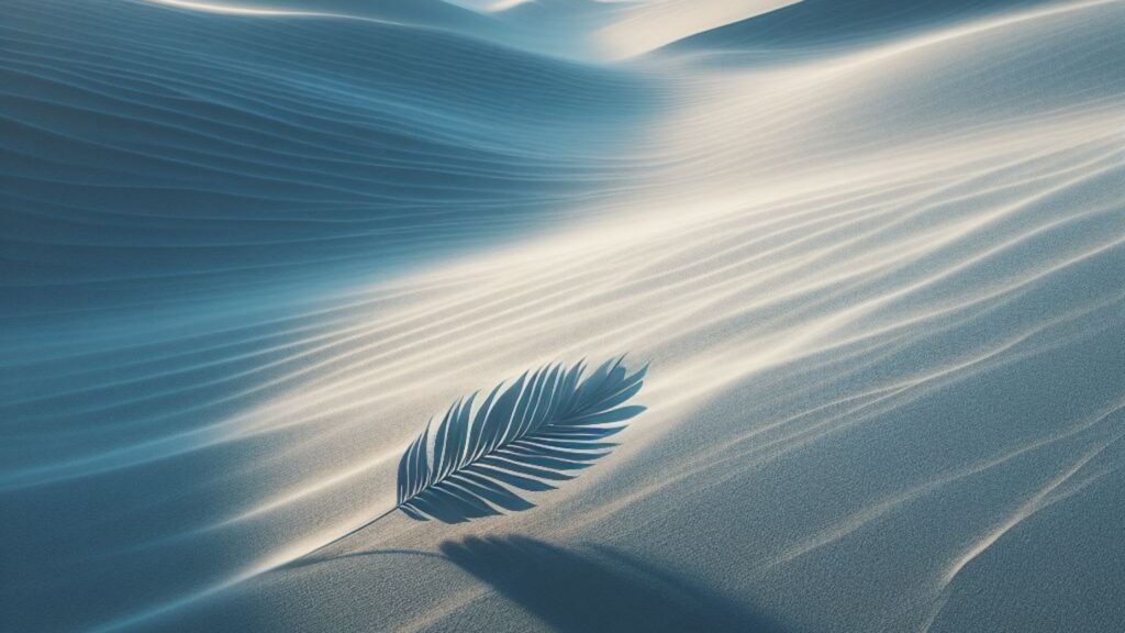 A piece of feather moving around in the desert depicts the feelings of a disheartened job seeker waiting to hear back from job applications